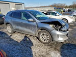 Ford Escape 2021