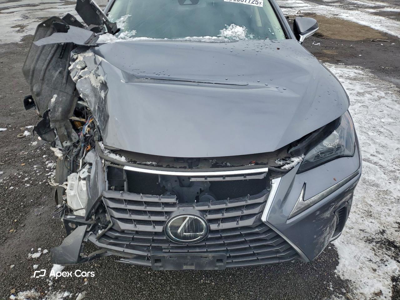Lexus NX 2020