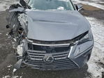 Lexus NX 2020