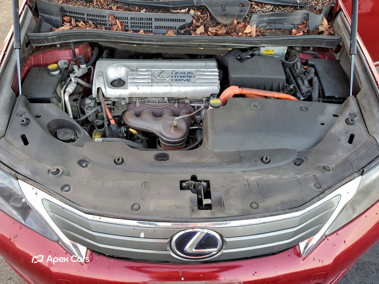 Lexus HS 2010