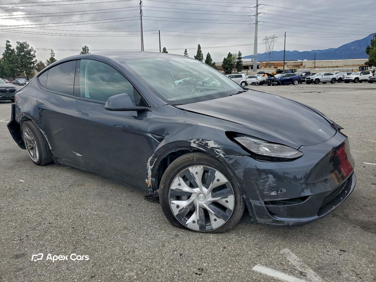 Tesla Model Y 2024