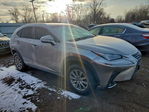 Lexus NX 2019