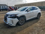 Lexus RX 2021