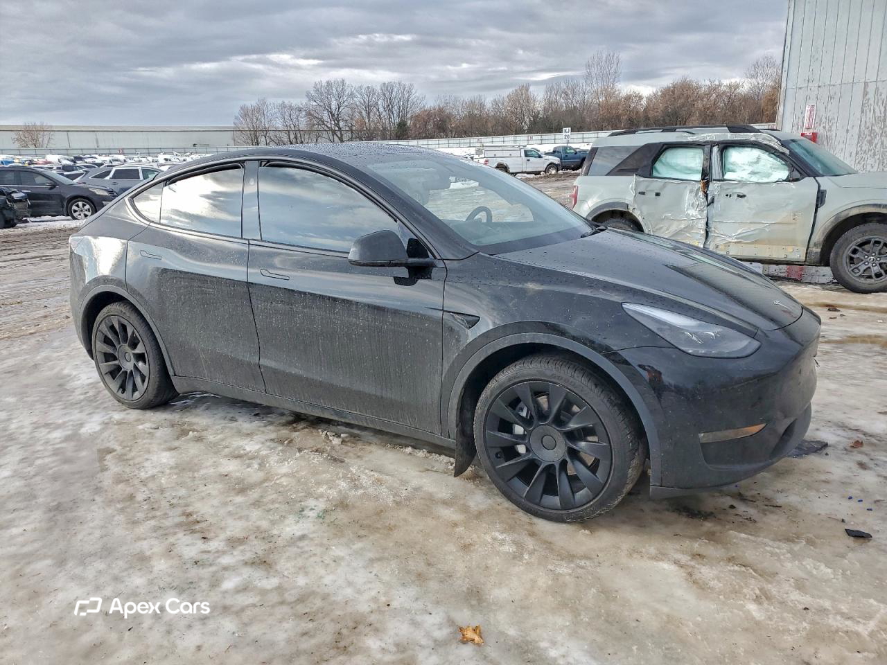 Tesla Model Y 2024
