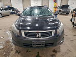 Honda Accord 2010