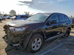 Toyota RAV 4 2021