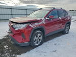 Toyota RAV 4 2025