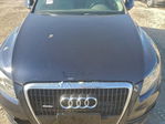 Audi Q5 2010