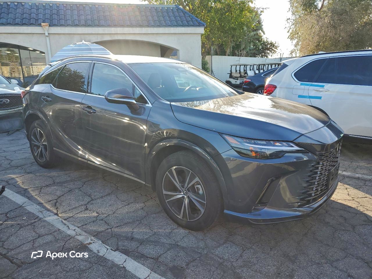 Lexus RX 2025