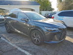 Lexus RX 2025