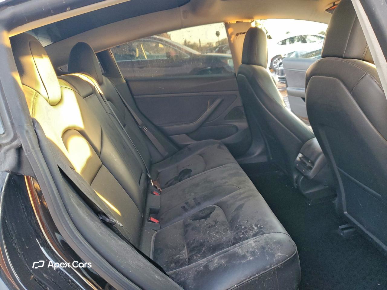 Tesla Model 3 2020
