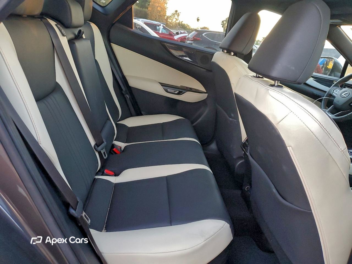 Lexus NX 2024