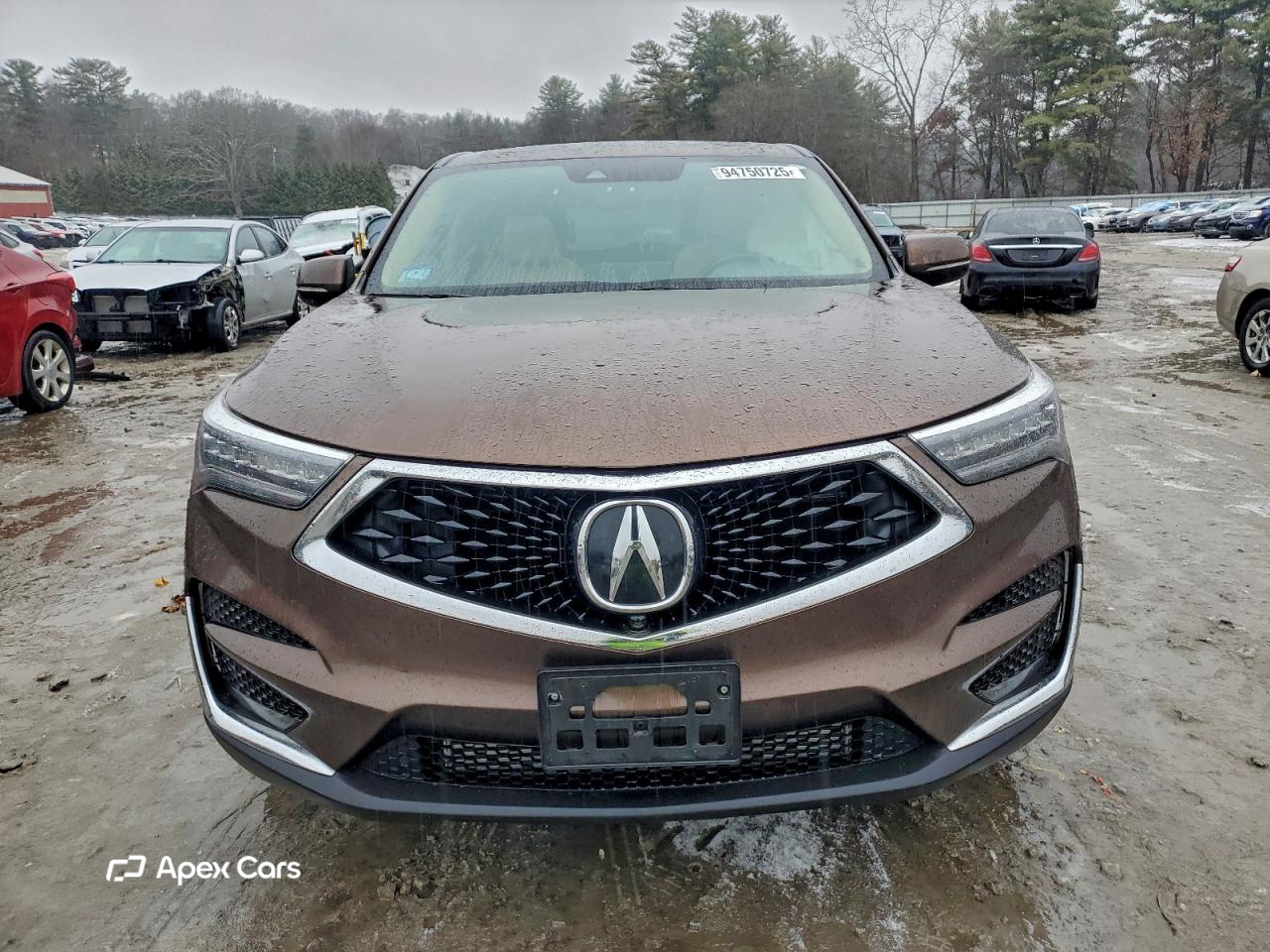 Acura RDX 2019