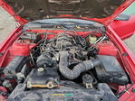 Ford Mustang 2005