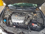 Acura TSX 2010