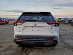 Toyota RAV 4 2023
