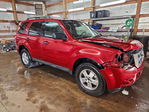 Ford Escape 2012