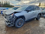 Toyota RAV 4 2021