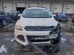 Ford Escape 2013