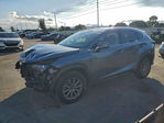 Lexus NX 2021