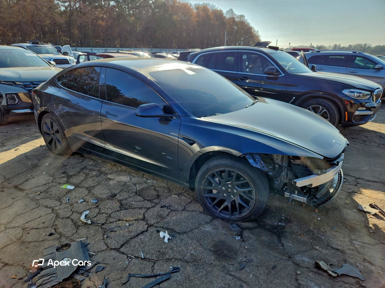 Tesla Model 3 2025