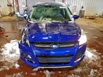 Ford Escape 2015