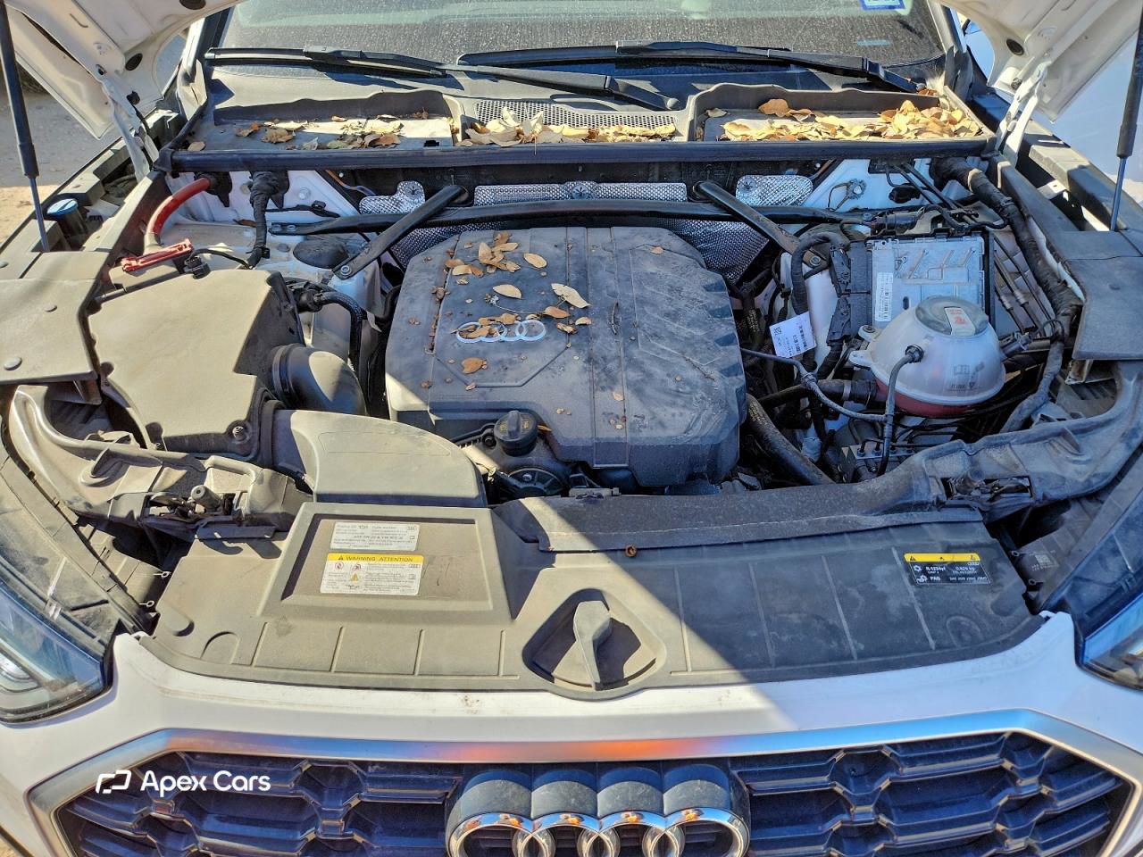 Audi Q5 2023