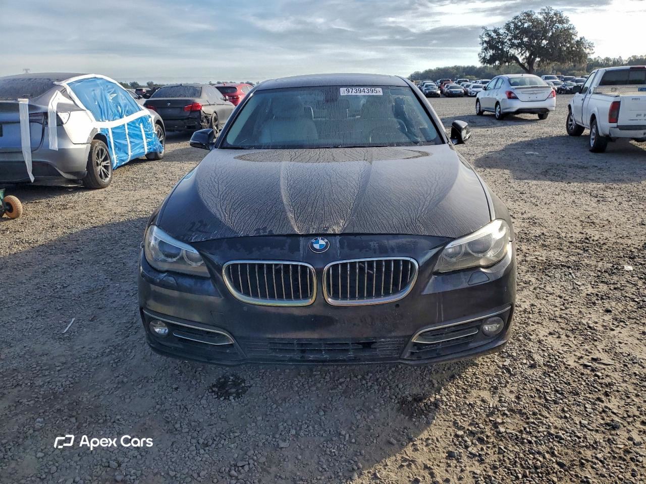 BMW Series 5 2014