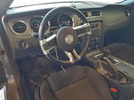 Ford Mustang 2014