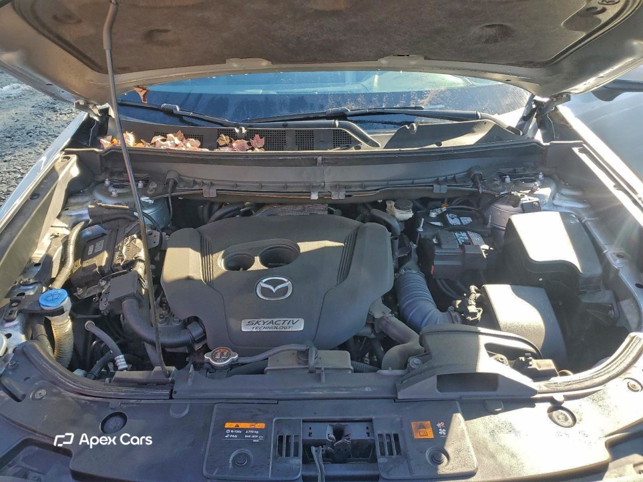 Mazda CX-9 2019