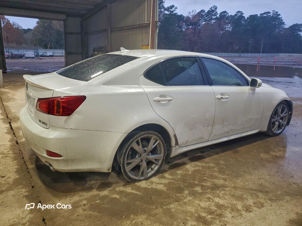 Lexus IS 2010