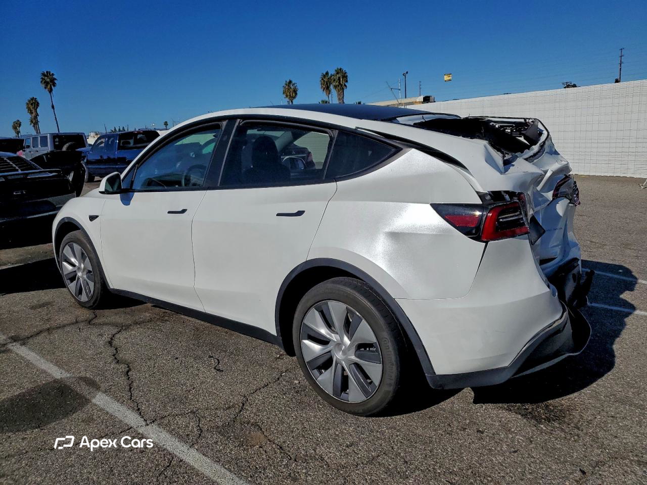 Tesla Model Y 2024