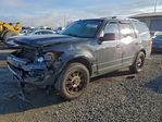 Ford Expedition 2015