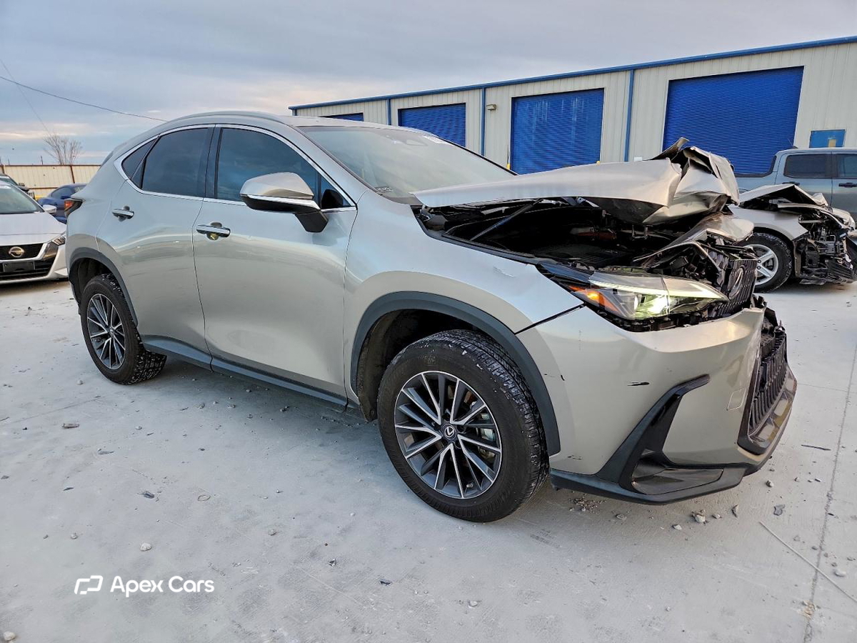 Lexus NX 2022