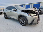 Lexus NX 2022