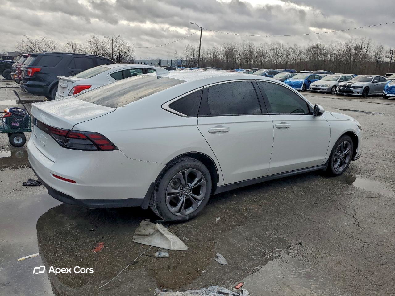 Honda Accord 2023