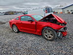 Ford Mustang 2014