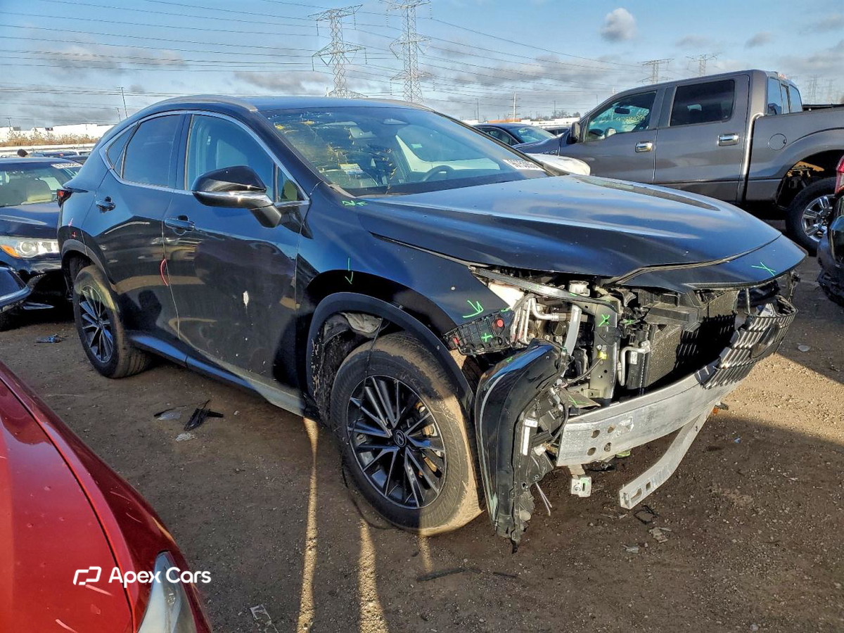 Lexus NX 2022