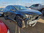 Lexus NX 2022
