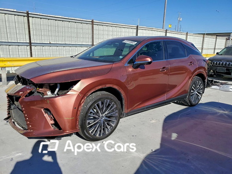 Lexus RX 2024 - Image 1 of 13