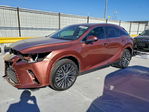 Lexus RX 2024
