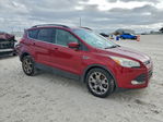 Ford Escape 2014