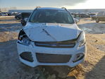 Ford Escape 2016