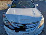 Hyundai Sonata 2011