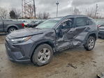 Toyota RAV 4 2024