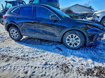 Ford Escape 2024
