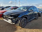 Lexus NX 2022
