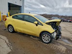 Kia Rio 2016