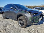 Lexus NX 2025