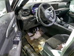 Dodge Hornet 2024
